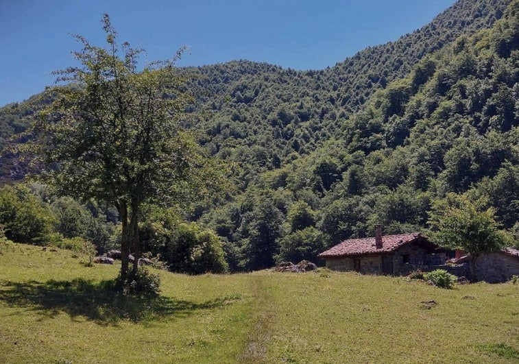 Senderismo Por Asturias En Caso Ruta A Vega Baxu Una Majada A M S De